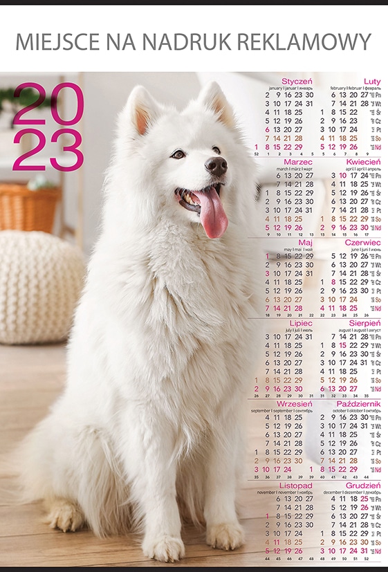 Kalendarz plakatowy Pies