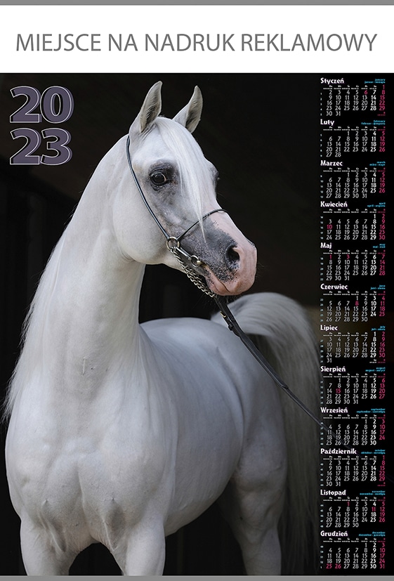 Kalendarz plakatowy Koń