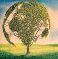 Kalendarz trójdzielny Eko Drzewo