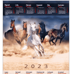 Kalendarz plakatowy Konie